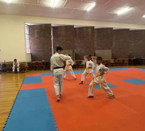 WhatsApp Image 2026-02-10 at 10.46.22 AM (3)