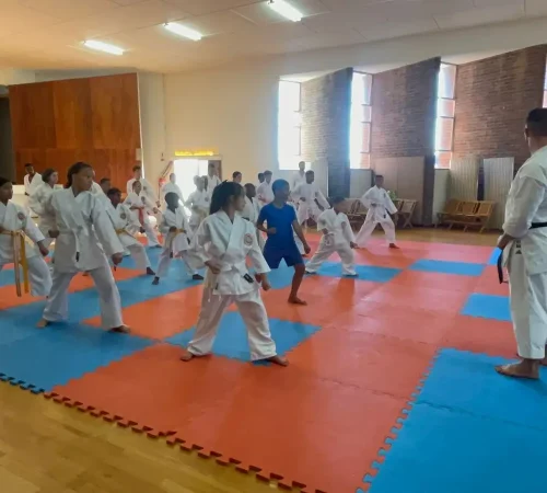 WhatsApp Image 2026-02-10 at 10.46.24 AM